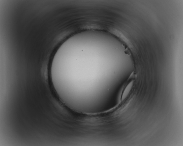 X0000092070629200710031119