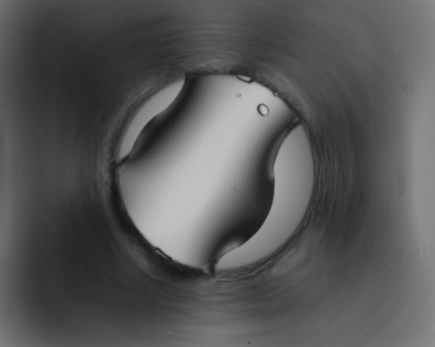 X0000092070634200710031119