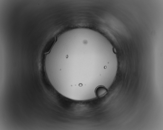 X0000092070635200710031119