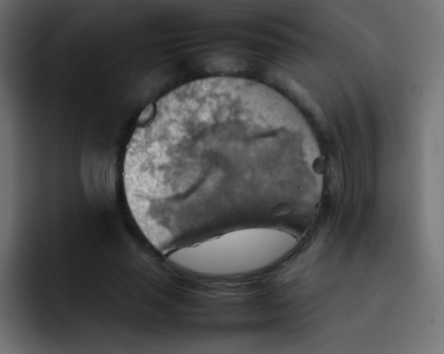 X0000092070637200710031119