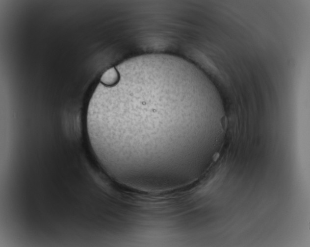 X0000092070638200710031119