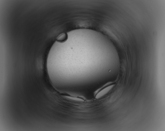X0000092070639200710031119