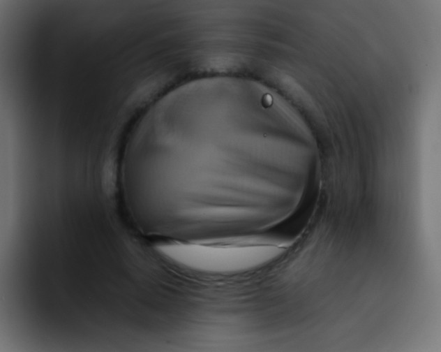 X0000092070640200710031119