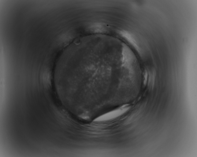 X0000092070643200710031119