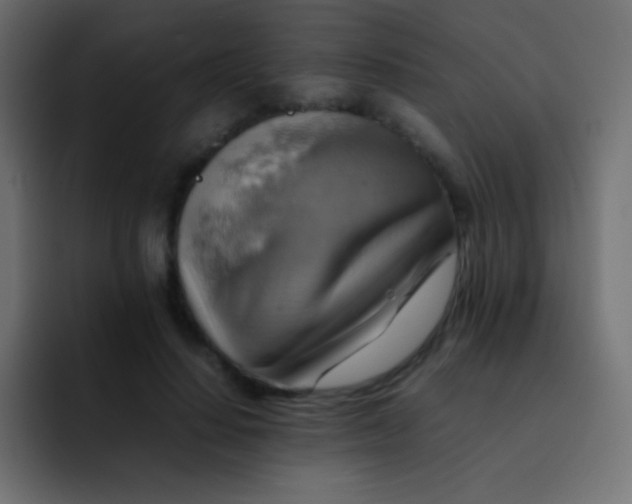 X0000092070644200710031119