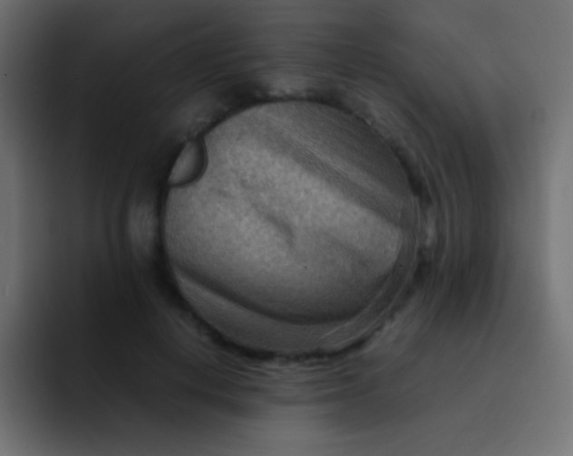 X0000092070648200710031119