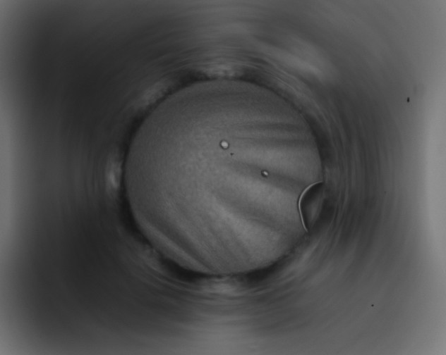 X0000092070652200710031119