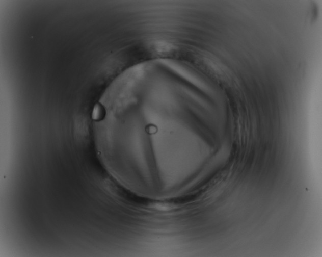 X0000092070654200710031119
