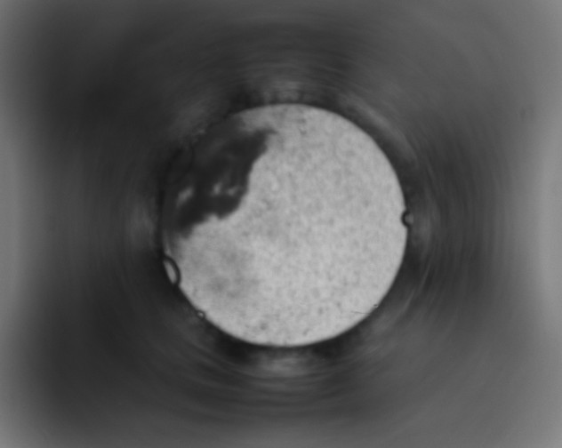 X0000092070661200710031119