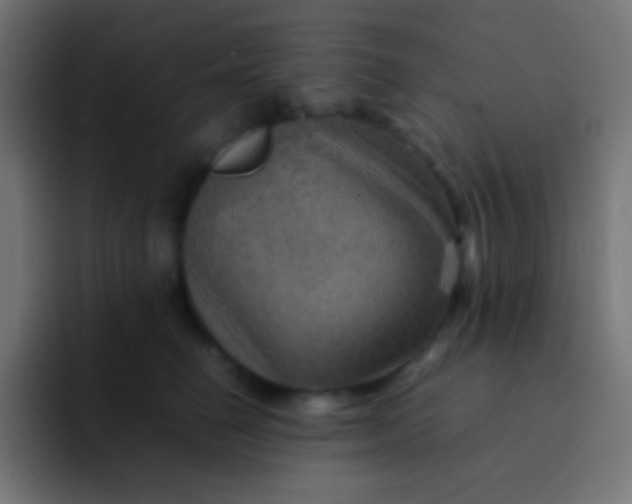 X0000092070662200710031119