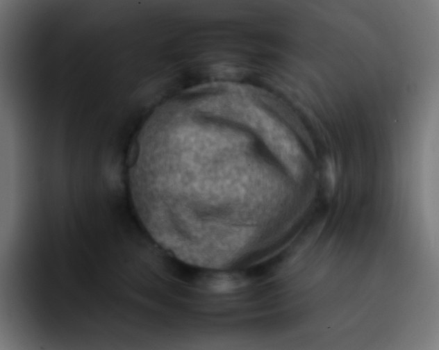 X0000092070663200710031119