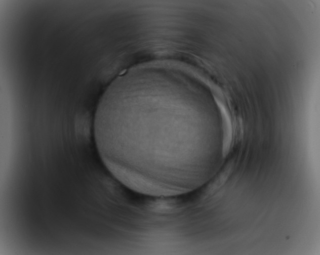 X0000092070664200710031119