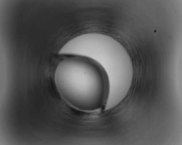 X0000092070665200710031119