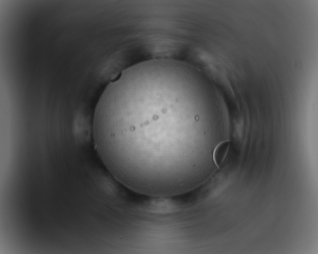 X0000092070666200710031119