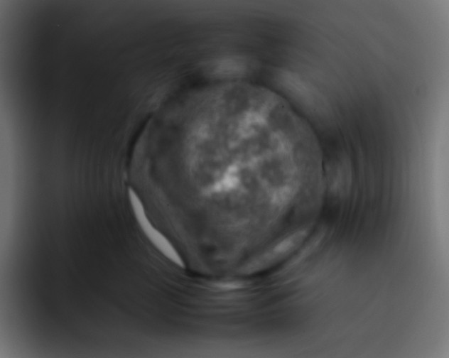 X0000092070669200710031119