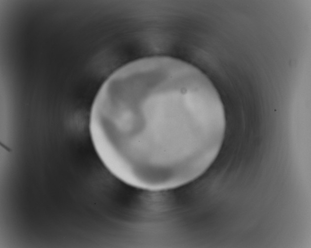 X0000092070672200710031119