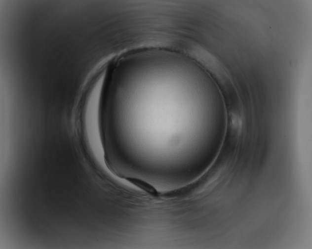 X0000092070676200710031119