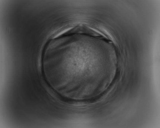 X0000092070677200710031119