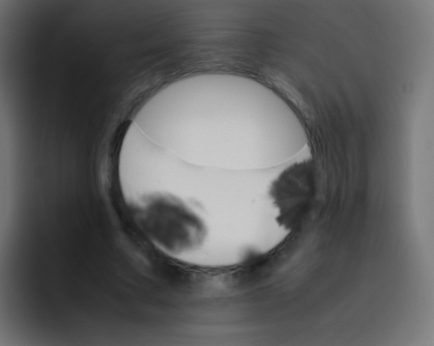X0000092070683200710031119