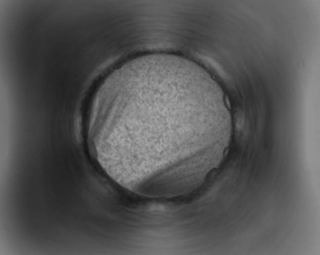 X0000092070684200710031119