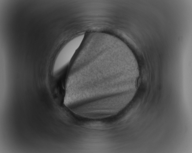 X0000092070685200710031119