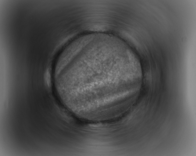 X0000092070688200710031119