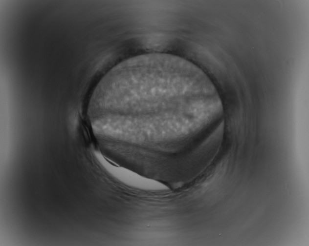 X0000092070689200710031119