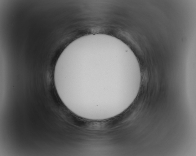 X0000092070691200710031119