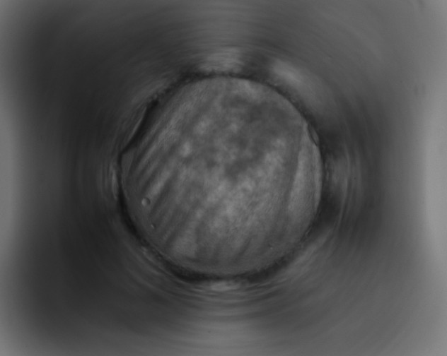X0000092070692200710031119