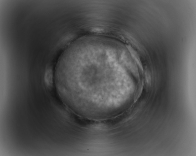 X0000092070696200710031119