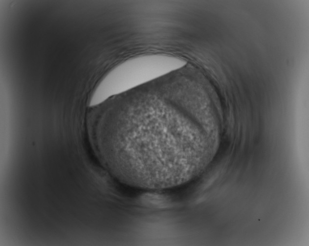 X0000092070699200710031119
