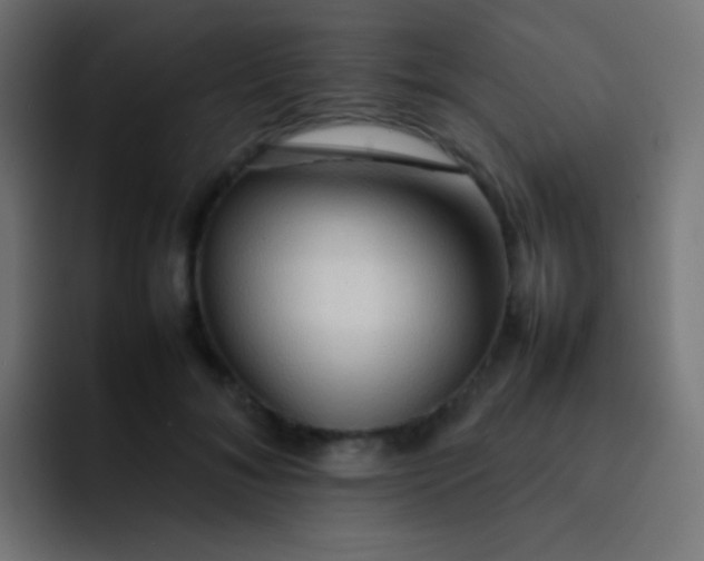 X0000092070700200710031119