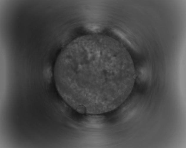 X0000092070707200710031118