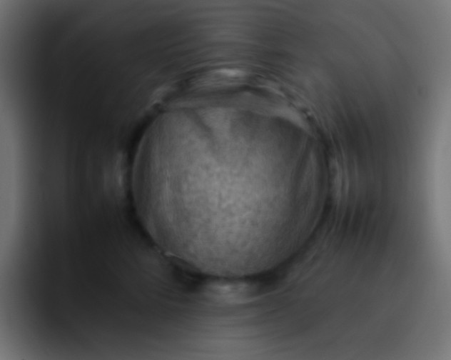 X0000092070712200710031118