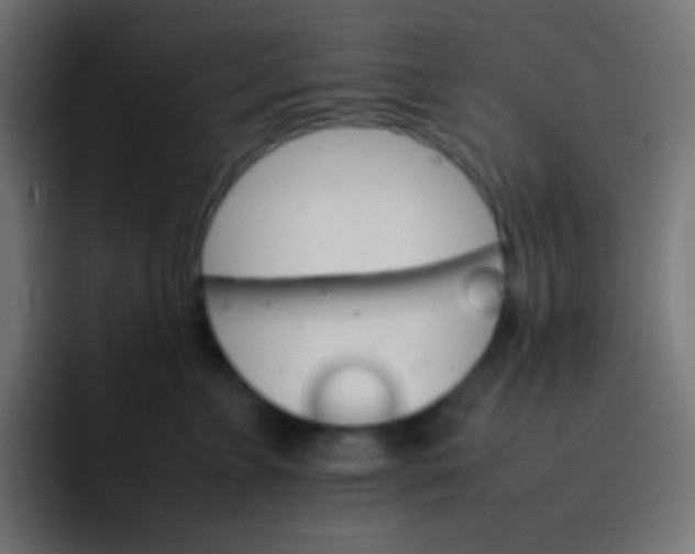 X0000092070715200710031118