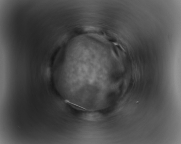 X0000092070716200710031118
