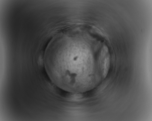 X0000092070719200710031118