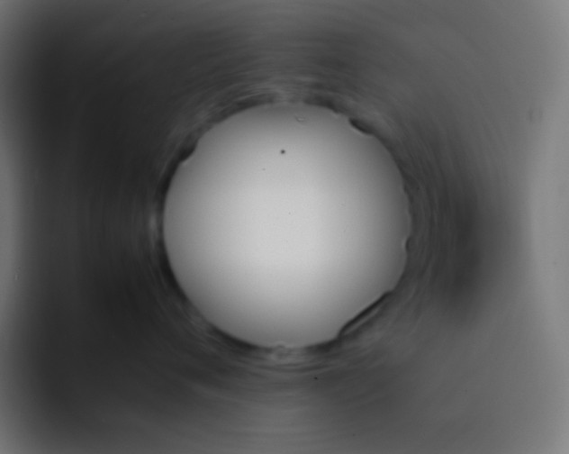X0000092070720200710031118