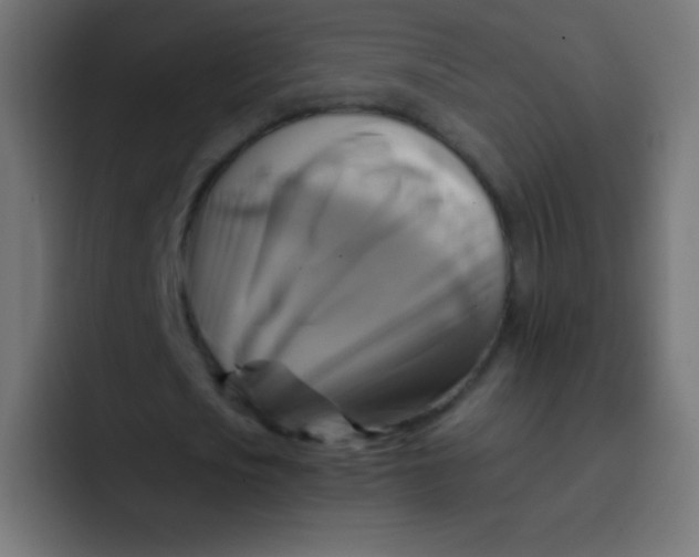 X0000092070721200710031118