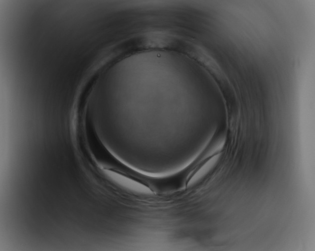 X0000092070722200710031118