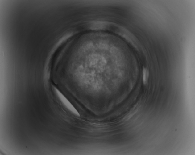 X0000092070723200710031118
