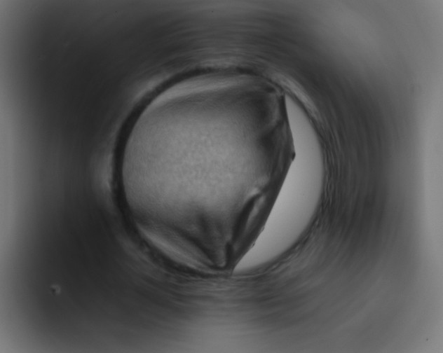 X0000092070724200710031118