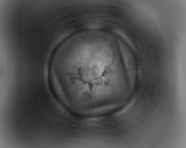 X0000092070725200710031118
