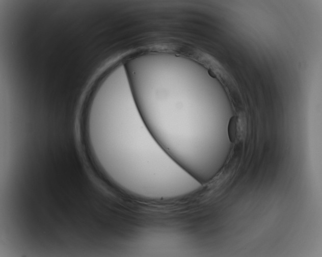 X0000092070726200710031118
