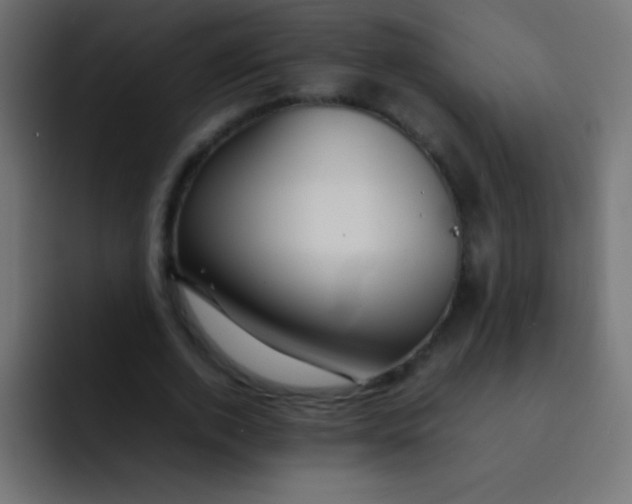 X0000092070728200710031118