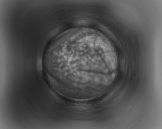 X0000092070729200710031118