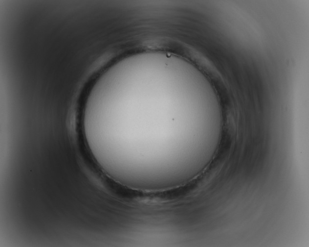 X0000092070730200710031118
