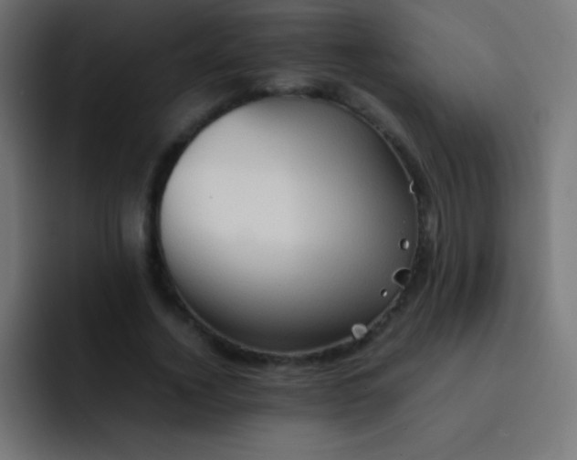 X0000092070732200710031118