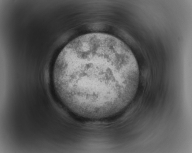 X0000092070734200710031118