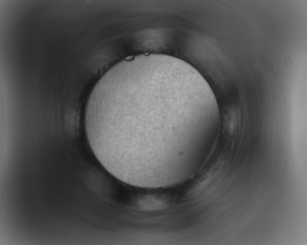 X0000092070739200710031118
